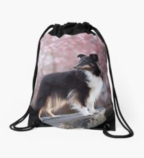 Princess Zelda Drawstring Bag