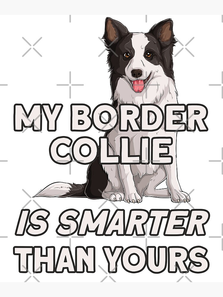 Gifts for clearance collie dog lovers