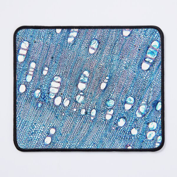 Item preview, fig tree, wood cells, cross section; plant anatomy, microscopy designed and sold by everydaybotany.