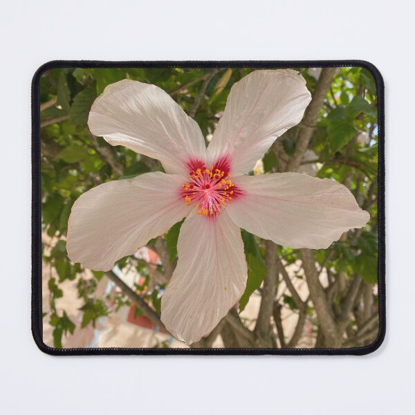Item preview, Single flower designed and sold by 69and70.