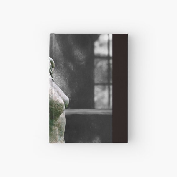 Incomplete Woman Hardcover Journal