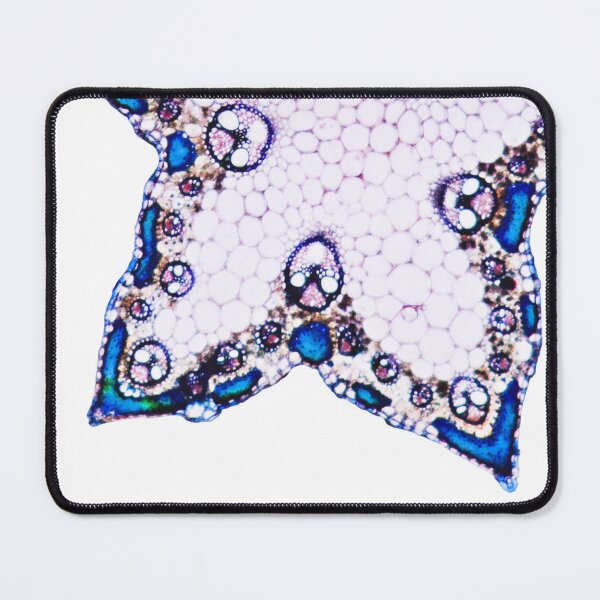 Item preview, Microscopic Cells 01 designed and sold by Minerva92.