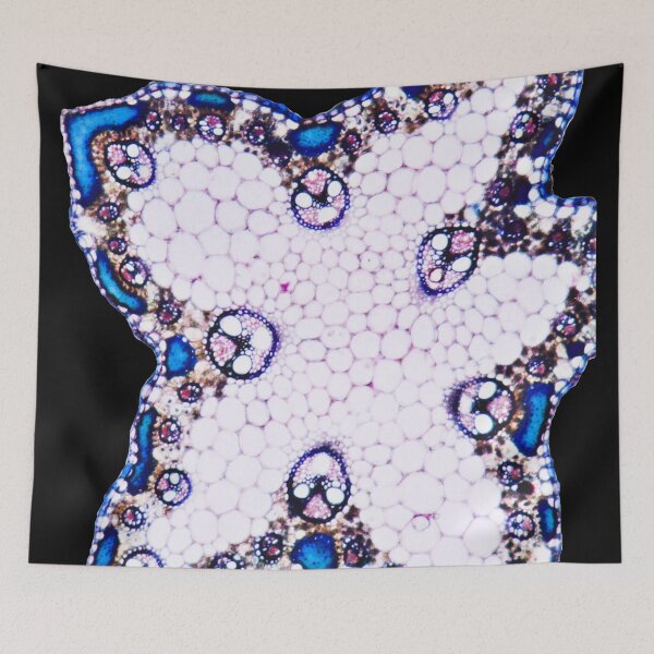 Item preview, Microscopic Cells 01 designed and sold by Minerva92.