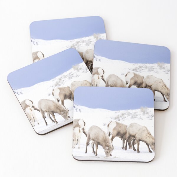 Item preview, Wyoming Bighorn sheep in the winter designed and sold by BerryvineImage.