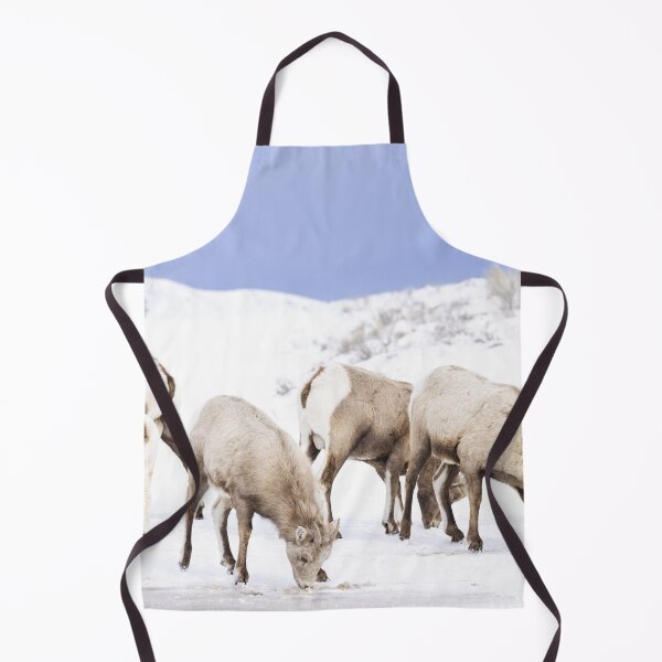 Item preview, Wyoming Bighorn sheep in the winter designed and sold by BerryvineImage.