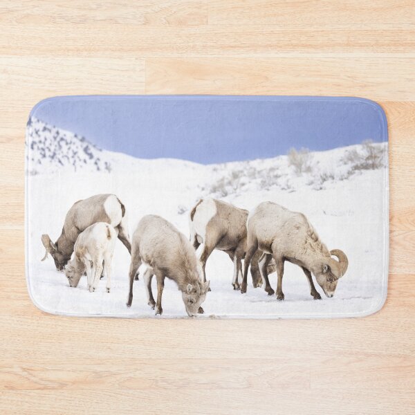 Item preview, Wyoming Bighorn sheep in the winter designed and sold by BerryvineImage.