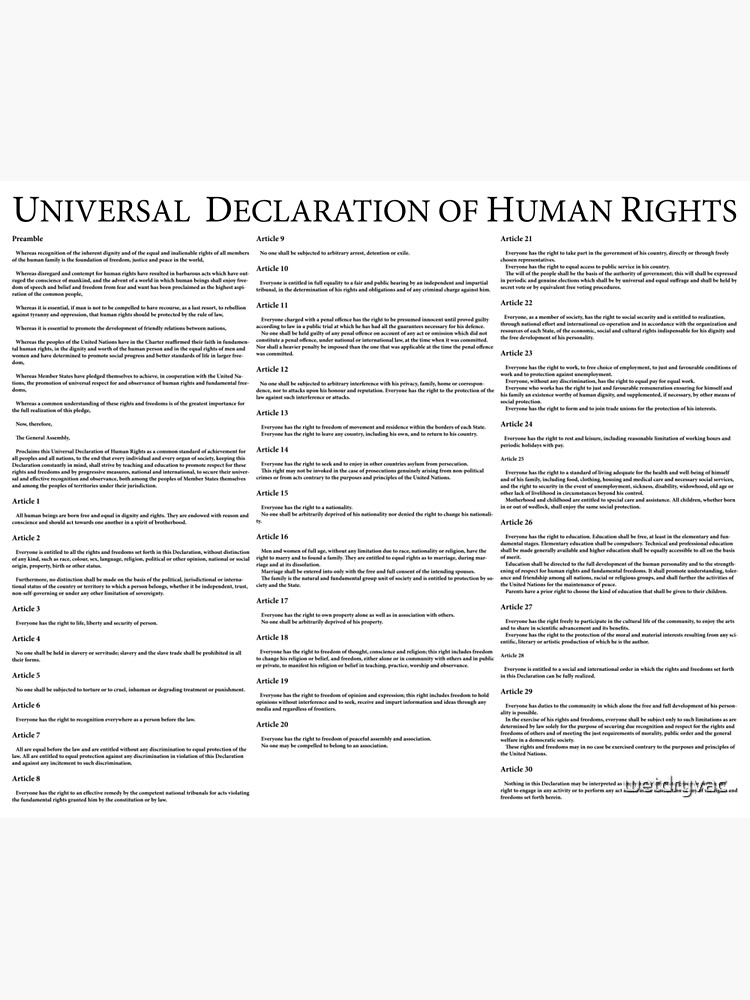 Universal Declaration of Human Rights by wetdryvac