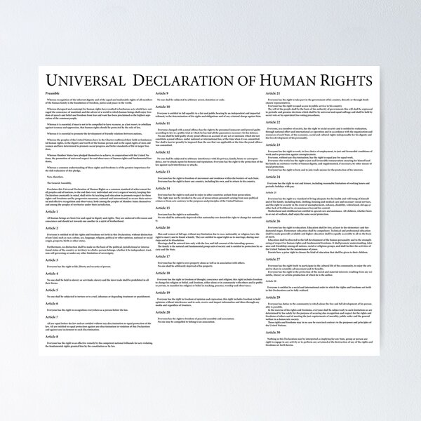 Item preview, Universal Declaration of Human Rights designed and sold by wetdryvac.