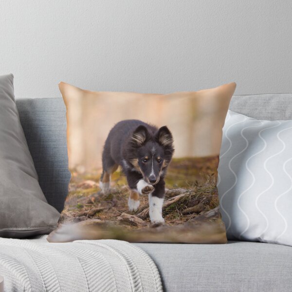 Item preview, Puppy Adventure designed and sold by hadissima.
