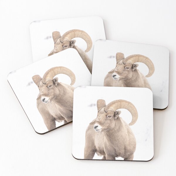 Item preview,  Wyoming Bighorn sheep ram in the winter designed and sold by BerryvineImage.