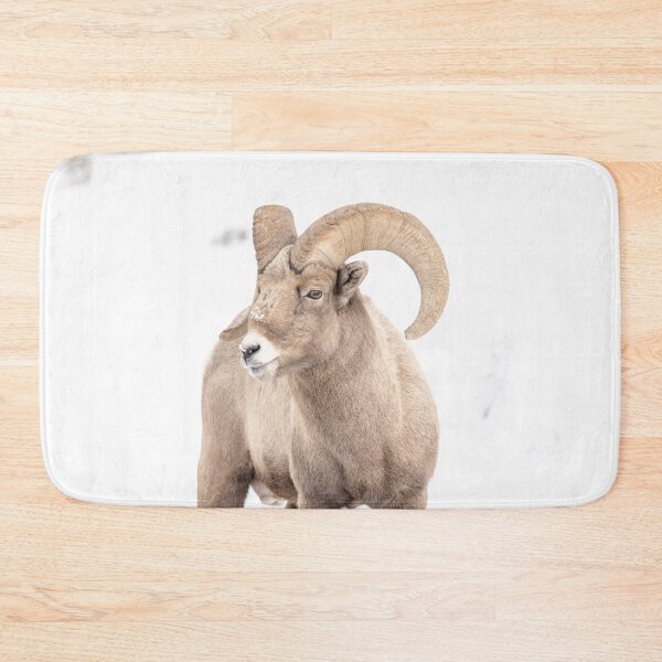 Item preview,  Wyoming Bighorn sheep ram in the winter designed and sold by BerryvineImage.