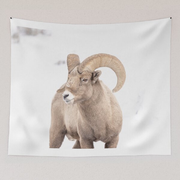 Item preview,  Wyoming Bighorn sheep ram in the winter designed and sold by BerryvineImage.