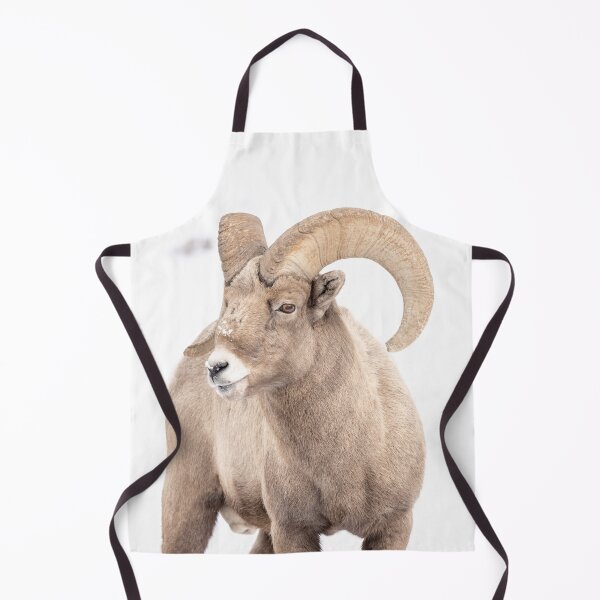 Item preview, Wyoming Bighorn sheep ram in the winter designed and sold by BerryvineImage.