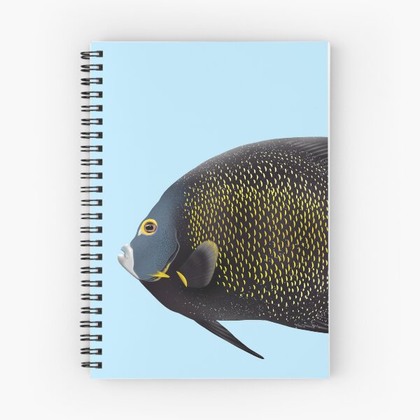 Item preview, French Angelfish designed and sold by Scuba-Div3r.