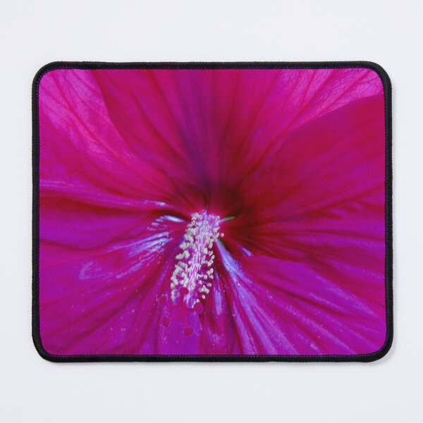 Item preview, Pink Hibiscus designed and sold by Shulie1.