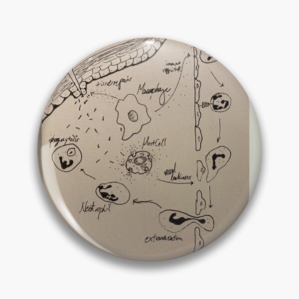 Item preview, Immune system (sepia) designed and sold by neuraloot.