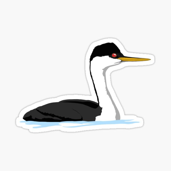 Western Grebe Sticker