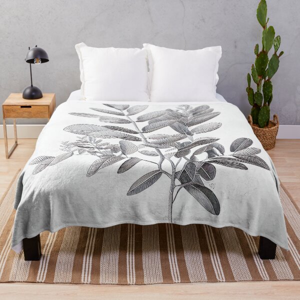 Item preview, Black And White ZZ Plant Drawing Illustration designed and sold by unrealartwork.