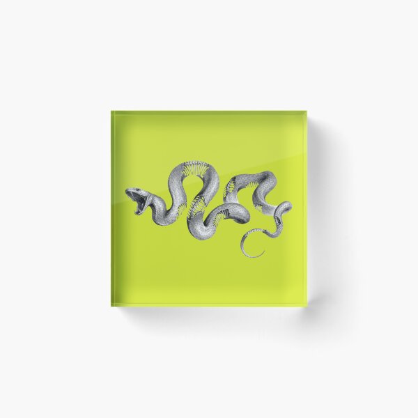 Artikelvorschau, Schlange und Knochen - auf Supergelb entworfen und verkauft von boltjesdesign.
