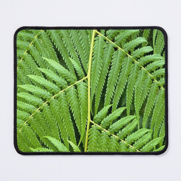 Item preview, Ferns designed and sold by Baroque894.