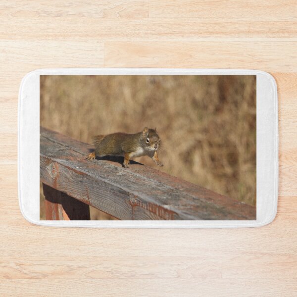 Item preview, squirrel on the move designed and sold by Rosemarie  Caron.