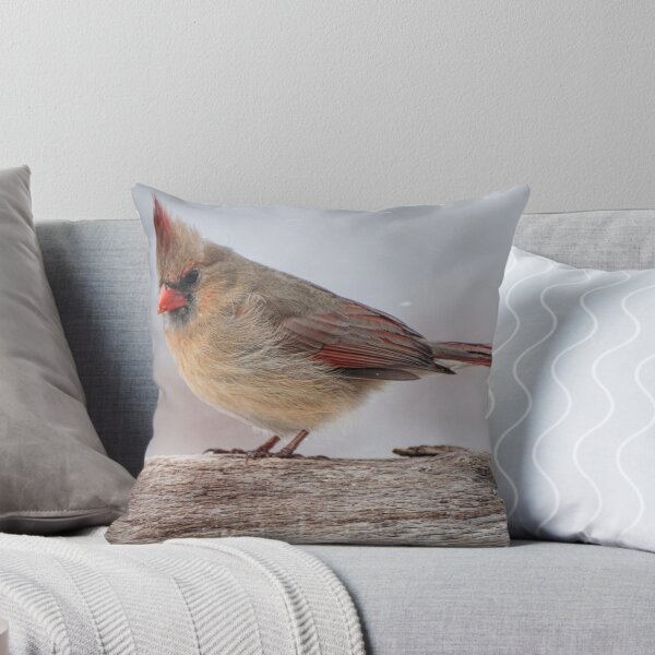 Item preview, It is snowing again in Missouri designed and sold by barnsis.