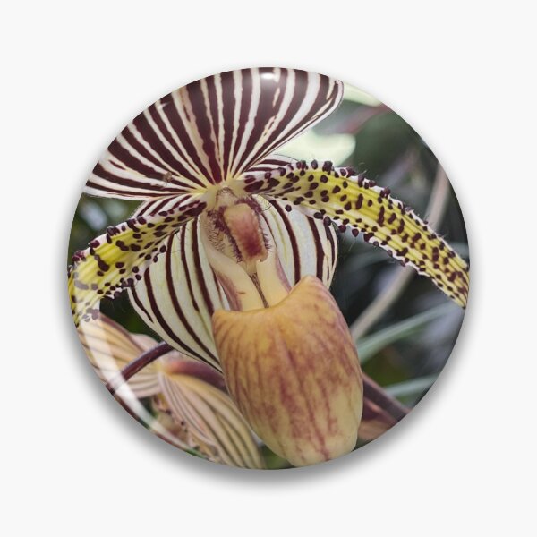 Item preview, orchid II designed and sold by Baroque894.