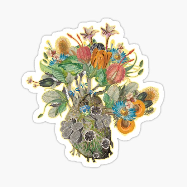 Organic Heart Sticker
