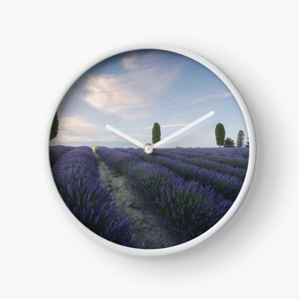 Lavender fields and trees at sunset. Orciano, Tuscany, Italy Clock