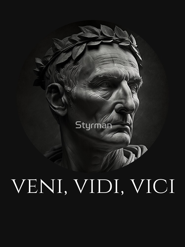 Veni Vidi Vici - Latin saying' Men's T-Shirt