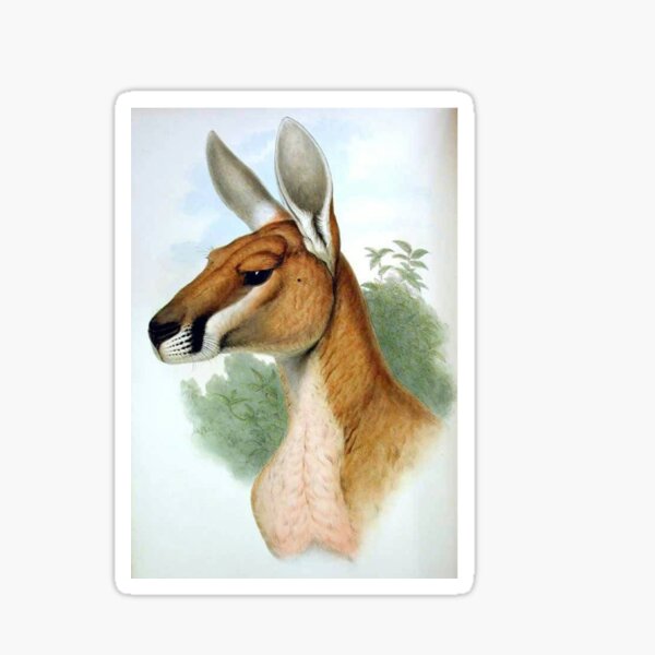 Item preview, Cute kangaroo Australia g'day mate designed and sold by Smile Shop ⭐⭐⭐⭐⭐.
