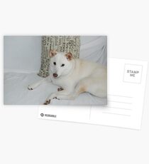 Shiba Inu -- Yuki If you like, purchase, try a cell phone cover thanks! Postcards