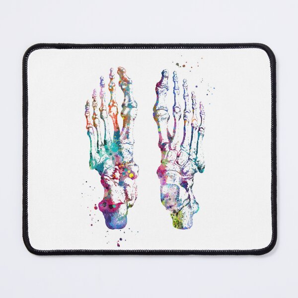Item preview, Feet Bones Anatomy designed and sold by EvasDreams.