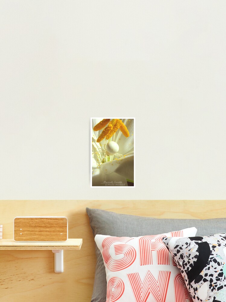 Thumbnail 2 of 3, Photographic Print, Practically Invisible designed and sold by Gozza.