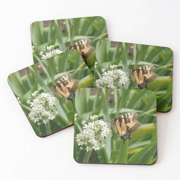 Artikelvorschau, Gelber und schwarzer Schmetterling entworfen und verkauft von GRL Photography.