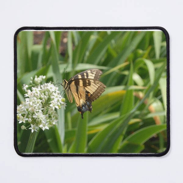 Item preview, Yellow and Black Butterfly designed and sold by GRL Photography.