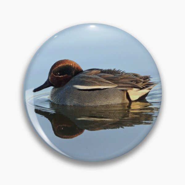 Item preview, Male Teal Duck designed and sold by Karen Thomson.