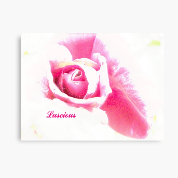 Luscious Canvas Print