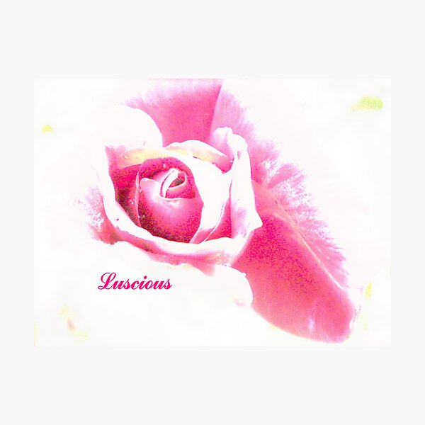 Luscious Photographic Print
