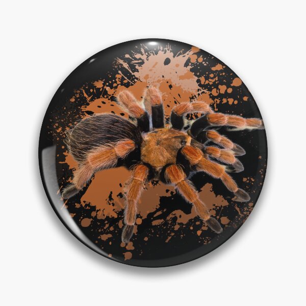 Item preview, Brachypelma Hamorii Smithi Splash Tarantula Realistic  designed and sold by GabrielGallery.