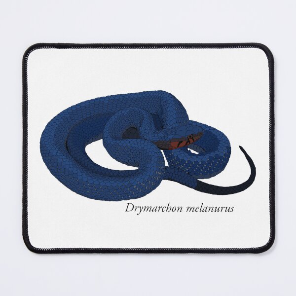 Item preview, Drymarchon melanurus designed and sold by DiamondbackStik.