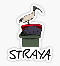 Straya Sticker