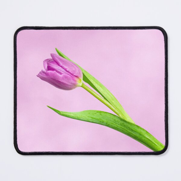 Item preview, Purple tulip on purple designed and sold by KRFNatureGifts.
