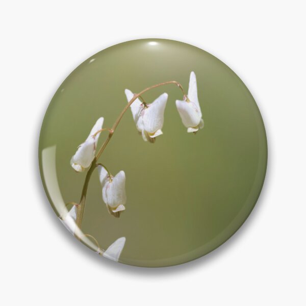 Item preview, Dutchman breeches wildflower art designed and sold by KRFNatureGifts.