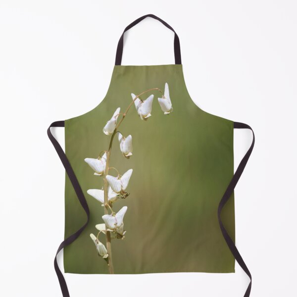 Item preview, Dutchman breeches wildflower art designed and sold by KRFNatureGifts.