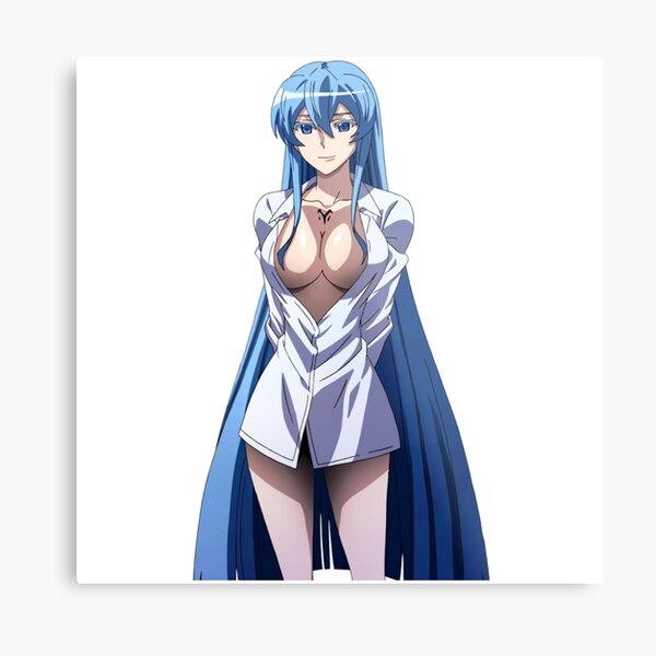 Esdeath  Akame Ga Kill, an art print by Kai Ilmardi - INPRNT