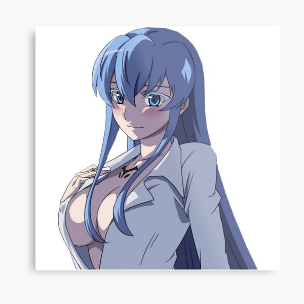 Esdeath  Akame Ga Kill, an art print by Kai Ilmardi - INPRNT