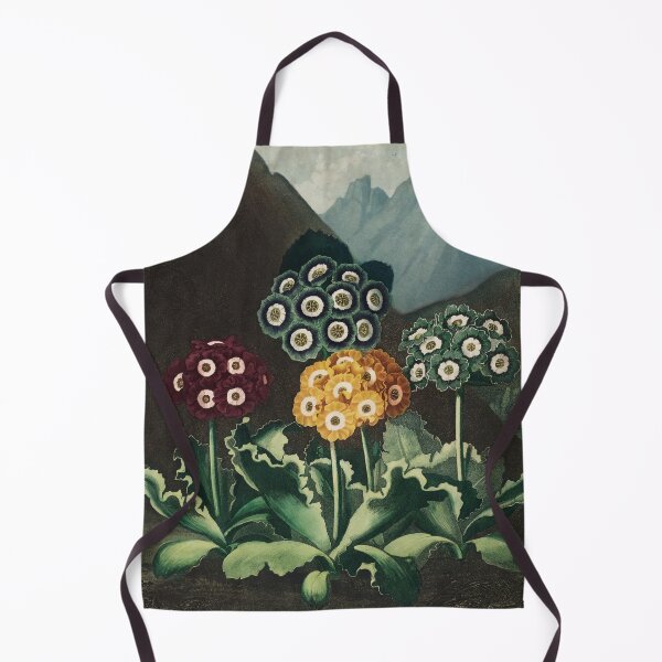Artikelvorschau, Eine Gruppe Auriculas - Vintage Malerei entworfen und verkauft von BookwormsHut.
