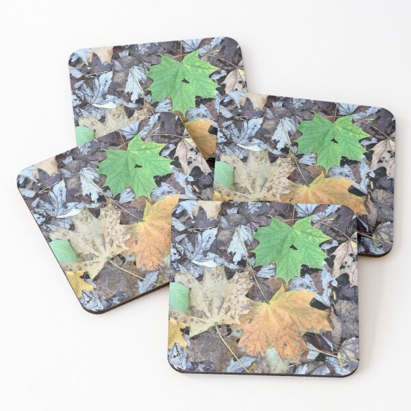 Item preview, Autumn Leaves on the Forest Floor designed and sold by CJRPics.