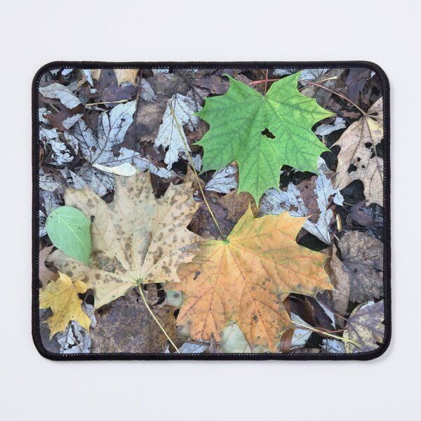 Item preview, Autumn Leaves on the Forest Floor designed and sold by CJRPics.